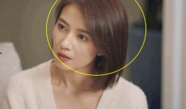 男子爆料蜜雪冰城视频播放,揭秘行业潜规则