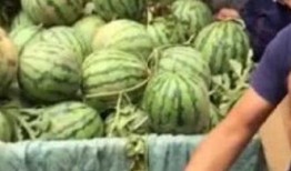 徐州百万网红吃瓜事件,揭秘网络事件背后的狂欢与争议