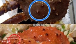 海鲜爆料博主有哪些呢视频,揭秘海鲜界的那些事儿