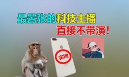 二狗爆料视频大全集,揭秘娱乐圈幕后真相