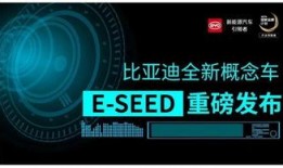 比亚迪高管爆料最新动态,揭秘新能源汽车产业未来趋势与挑战