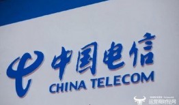 罗沙最新爆料公司电话,揭秘公司神秘电话背后的真相