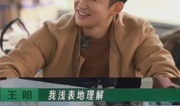 王阳爆料娱乐圈打牌事件,王阳揭露幕后真相