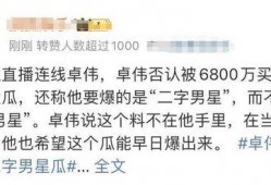 卓伟视频爆料二字男星,揭秘神秘“二字男星”身份之谜
