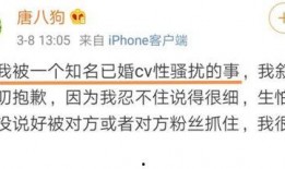 龙吟最新爆料消息是真的吗,真相揭秘，是真是假？