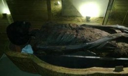 木乃伊手机在线观看,揭秘木乃伊手机神秘之旅