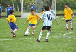 深圳足球衣爆料事件最新,揭秘背后真相与争议焦点