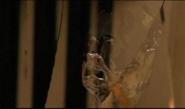 透明人 2在线观看,揭秘人体奥秘，探索生命极限