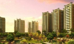 奚小姐楼市楼盘爆料视频,楼市楼盘最新爆料，带你洞察市场动态