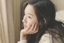 爆料娱乐圈的博主博君一肖