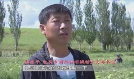 娱乐吃瓜老王是谁,吃瓜老王的真实身份大起底