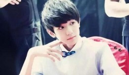 娱乐圈真实爆料王源视频,娱乐圈背后的真相揭秘