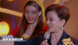 李玲玉爆料王芳视频播放,揭秘娱乐圈不为人知的一面