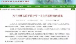 广西田林新闻爆料视频大全,视频大全揭秘当地热点事件