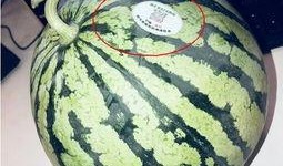 2020吃瓜网红,网络风云变幻，谁主沉浮？