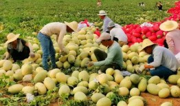 2020吃瓜网红,网络风云变幻，谁主沉浮？