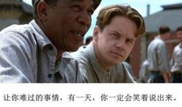 肖克的救赎在线观看,一场关于救赎与成长的感人之旅