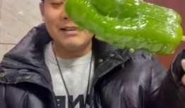 网红蔡二哥吃瓜视频播放,揭秘网红圈幕后故事