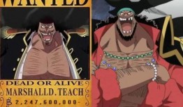 黑胡子官方爆料视频,神秘势力动向与未来走向