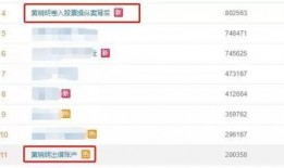 最新明星被爆料网址,明星隐私曝光，揭秘网络时代的隐私危机